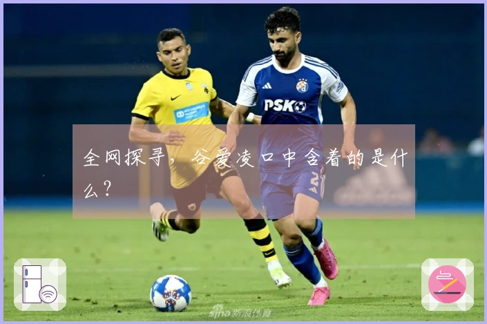 全网探寻，谷爱凌口中含着的是什么？