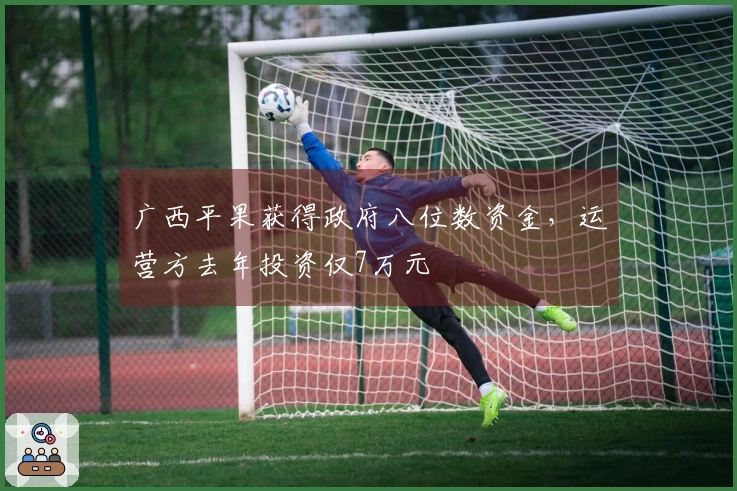 广西平果获得政府八位数资金，运营方去年投资仅7万元