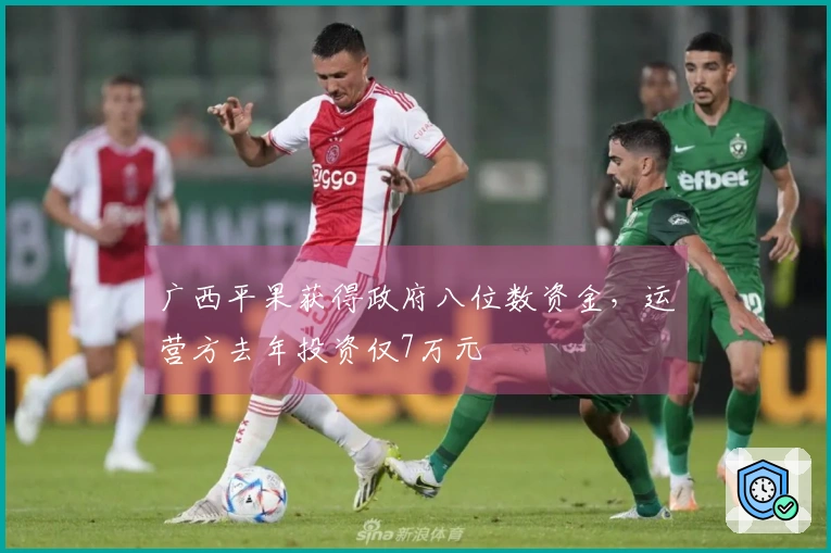 广西平果获得政府八位数资金，运营方去年投资仅7万元