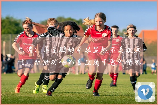 陈涛：姜至鹏的举动显然不是故意的，红牌对他而言应属于意外情况。